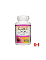 Echinamide Fresh Herb Extract Κλινική ισχύς 250 mg - 90 κάψουλες πηκτής