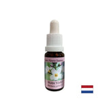 Προωθεί την επικοινωνία - ουσία Swamp Iris, πέφτει 15 ml