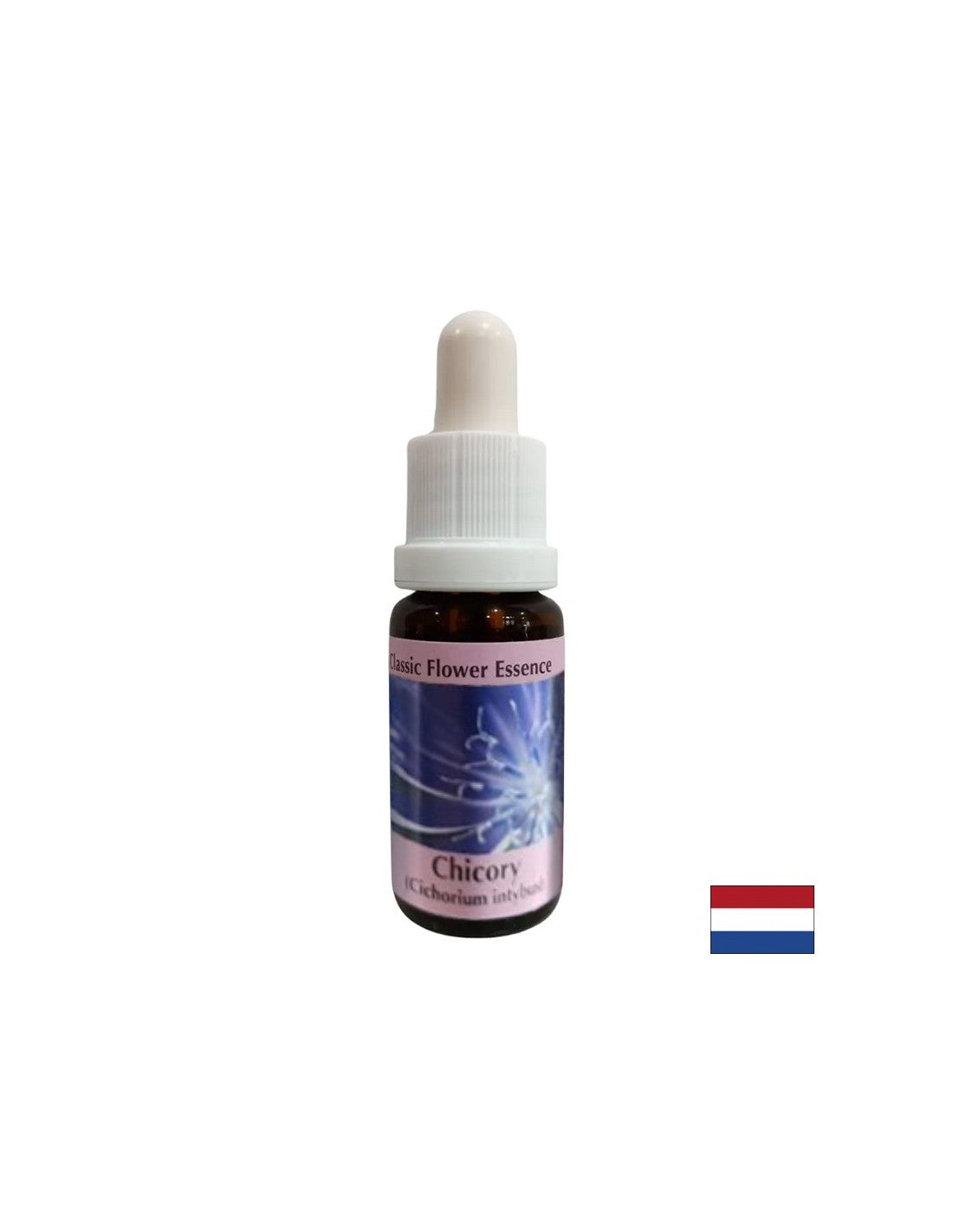 Για να επικεντρωθείτε στον εαυτό σας - Chicory Essence No. 8, πέφτει 15 ml
