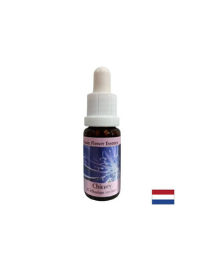 To focus on yourself - Chicory Essence No. 8, drops 15 ml - Nutra Best Europe