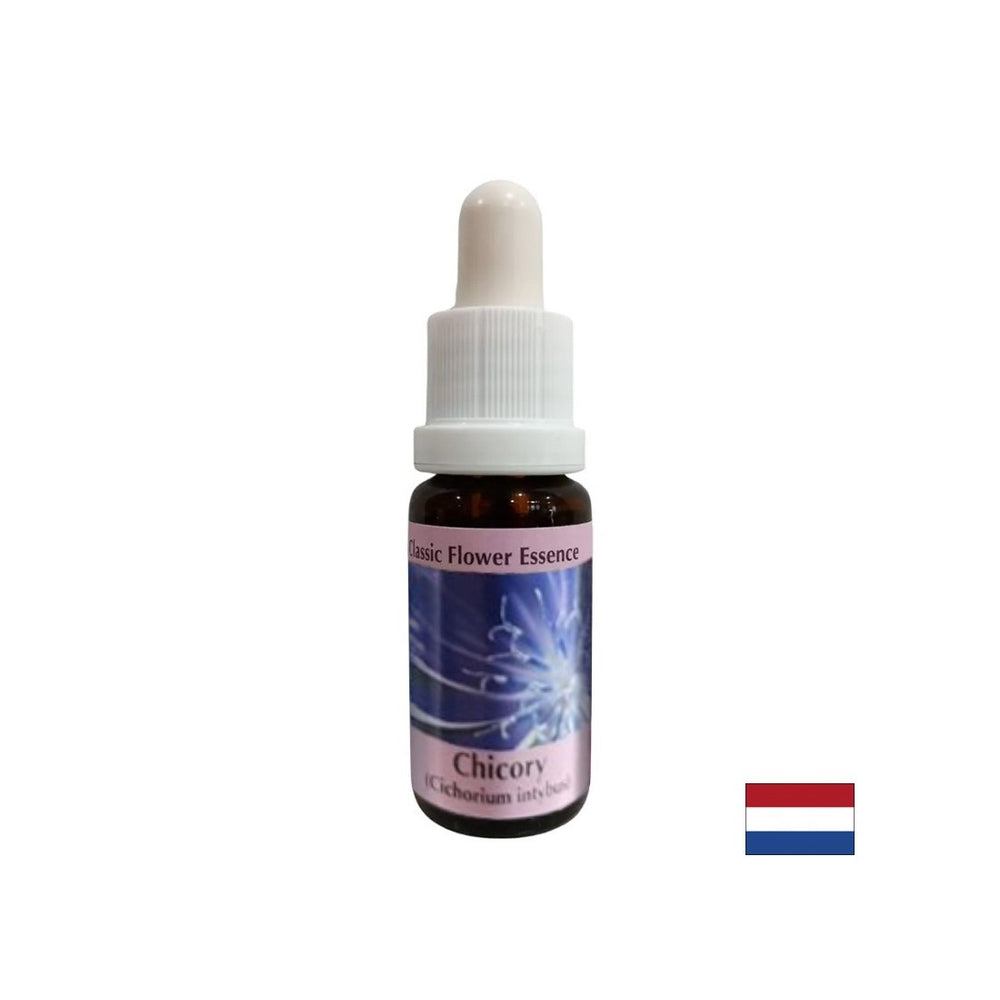 Για να επικεντρωθείτε στον εαυτό σας - Chicory Essence No. 8, πέφτει 15 ml