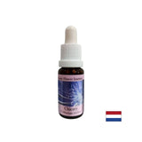Για να επικεντρωθείτε στον εαυτό σας - Chicory Essence No. 8, πέφτει 15 ml