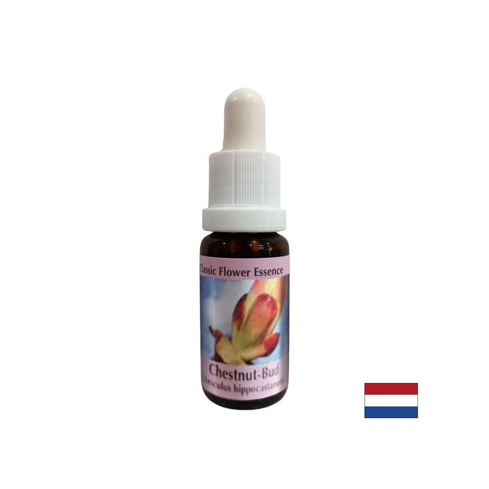 Αφαιρεί την ενεργειακή μπλοκαρίσματα - Chestnut Bud Essence Νο. 7, πέφτει 15 ml