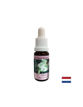 Restores strength - Olive Essence No. 23, drops 15 ml - Nutra Best Europe