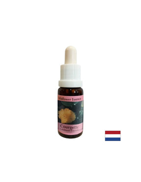 Supports menstruation, pregnancy and sexuality - Pumpkin Essence No. 29, drops 15 ml - Nutra Best Europe