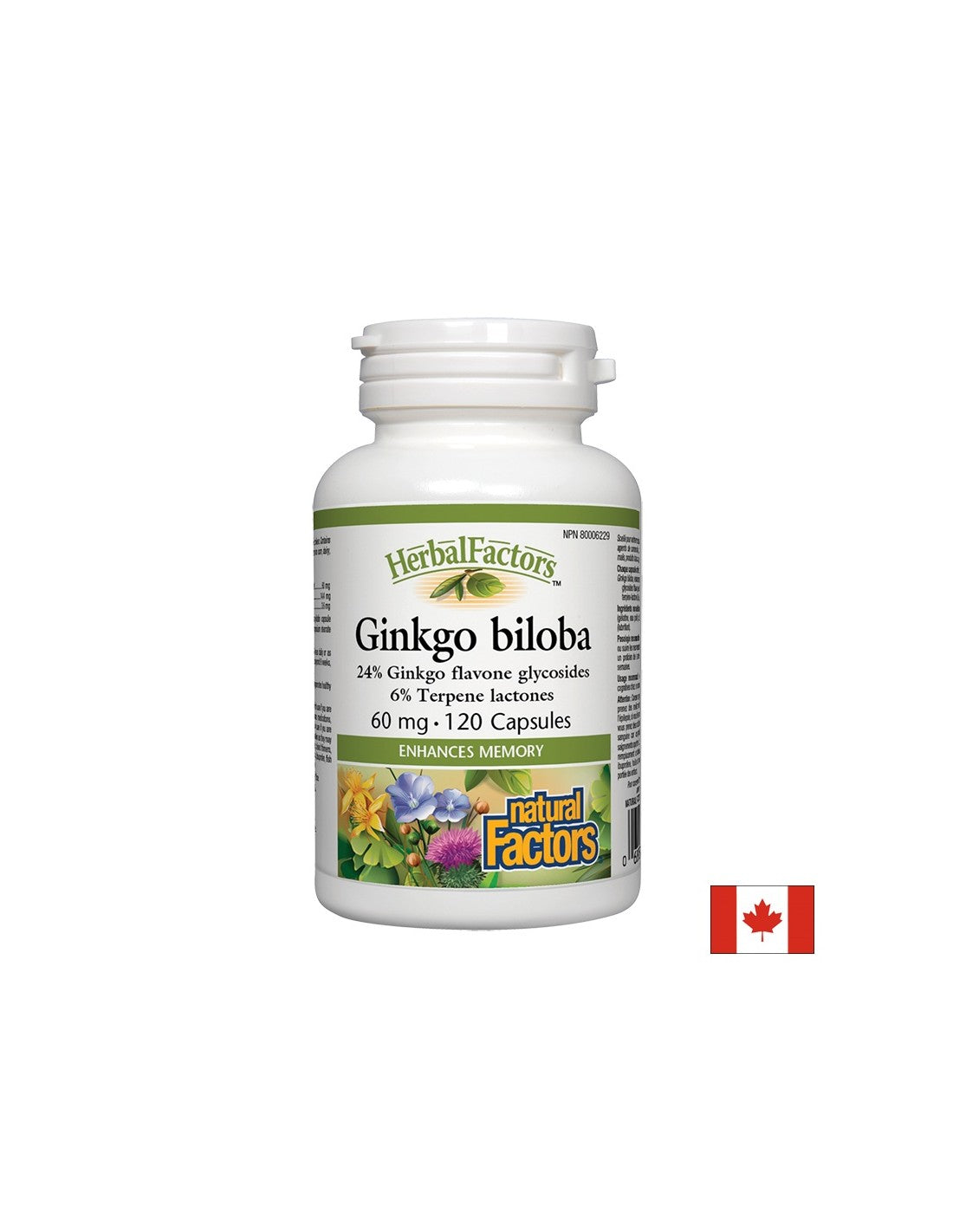 Ginkgo Biloba 60 mg - 120 κάψουλες