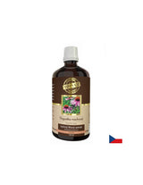 Ανοσότητα - Echinacea, 100 ml βάμπισμα