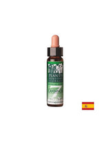 Elm, Olive και Hornbeam - λουλούδι ελιξίριο για ζωτικότητα - Συνδυασμένες σταγόνες του Dr. Bach, 10 ml