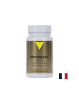 Όμορφο δέρμα - Phyto Ceramides Lipowheat ™, 350 mg x 30 κάψουλες