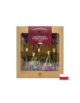 Λυοφιλοποιημένο τσάι South Garden Bio, 10 g <tc>Dary Natury</tc>