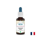 Μνήμη και συγκέντρωση - Κάστανο άλογο, Bach Drops No. 35, 15 ml