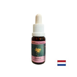 Για τραυματισμούς και σοκ - Arnica Essence Νο. 22, πέφτει 15 ml