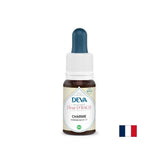 Για το πνευματικό στρες - Hornbeam, Bach Drops No. 17, 15 ml