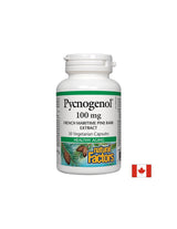 Pycnogenol® 100 mg - 30 κάψουλες