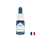 Χαλάρωση, floral essences, μέθοδος Bach πέφτει αριθ. 7, 15 ml