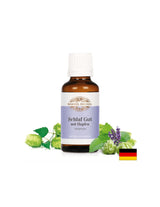 Schlaf Gut mit Hopfen Tropfen/Σταγόνες για ύπνο, Βάμμα, 30 ml <tc>Bärbel Drexel</tc>