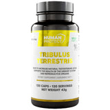 Tribulus terrestris 204 mg | Με 98% σαπωνίνες - 120 κάψουλες