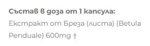 Απόσπασμα Birch 600 mg - 60 κάψουλες