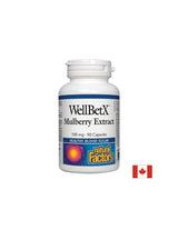 Εκχύλισμα Mulberry WellBetx 100 mg - 90 κάψουλες