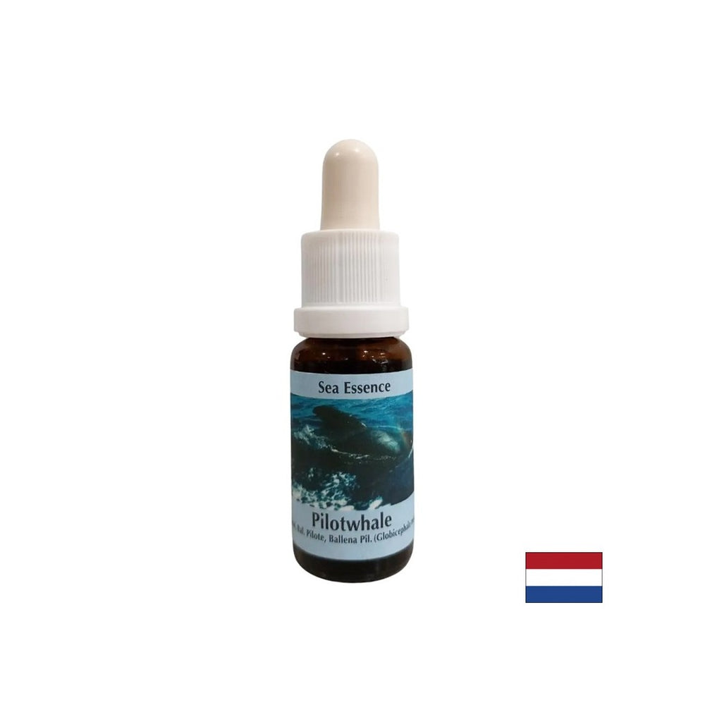 Για διαλογισμό - Essence Black Grind No. 10, πέφτει 15 ml