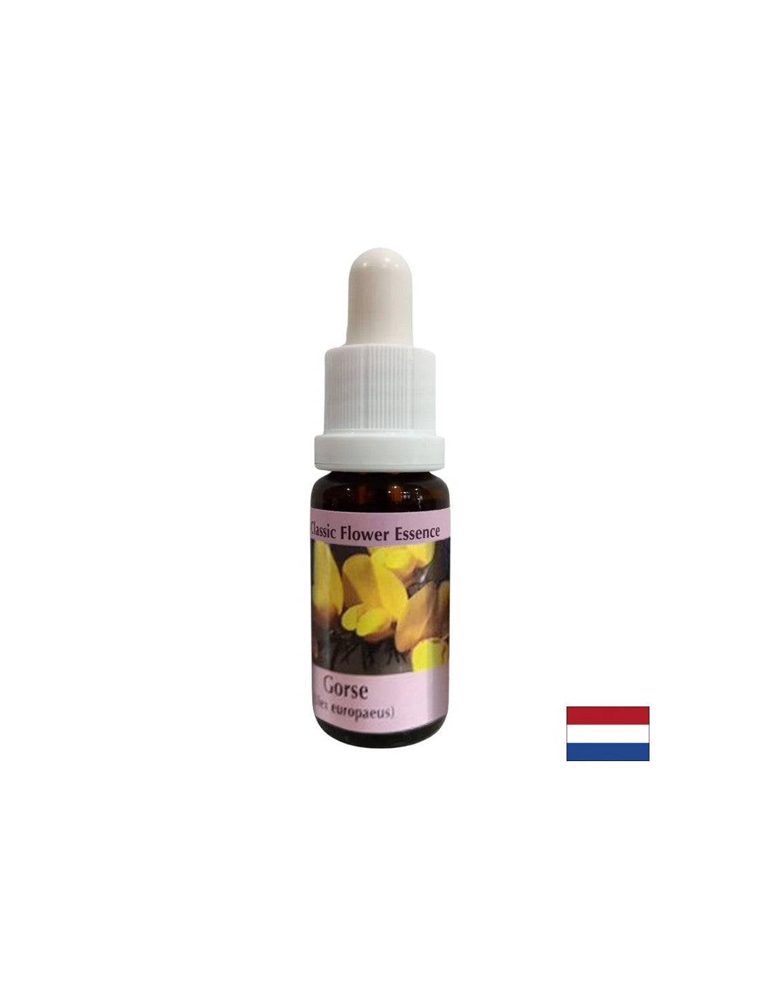 Για μια νέα αρχή - ουσία preshtip αρ. 13, πέφτει 15 ml