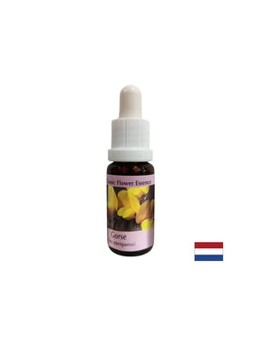 For a new beginning - Essence Preshtip No. 13, drops 15 ml - Nutra Best Europe
