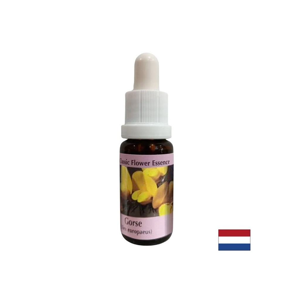 Για μια νέα αρχή - ουσία preshtip αρ. 13, πέφτει 15 ml