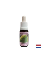 Για περισσότερη ενέργεια και κίνητρα - Hornbeam Essence αριθ. 17, πέφτει 15 ml