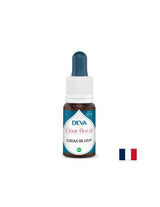 Για τη λεκτική έκφραση - Dogwood (Antirrhinum), Bach Drops, 15 ml