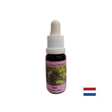 Energies - Oak Essence Νο. 22, πέφτει 15 ml
