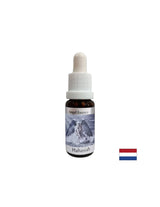 Χρεώσεις με δύναμη - ουσία hahasia (Angel Essence Νο. 11), πέφτει 15 ml
